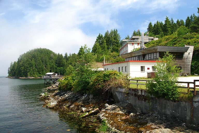 Boost Energy Efficiency with Window Upgrades in Bamfield BC